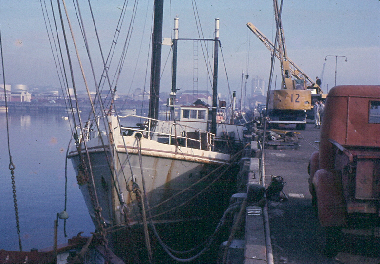 The Tiri in Auckland Viaduct